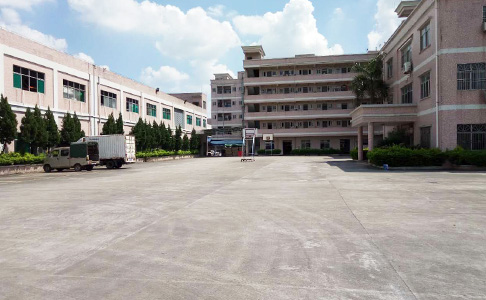 Company Profile